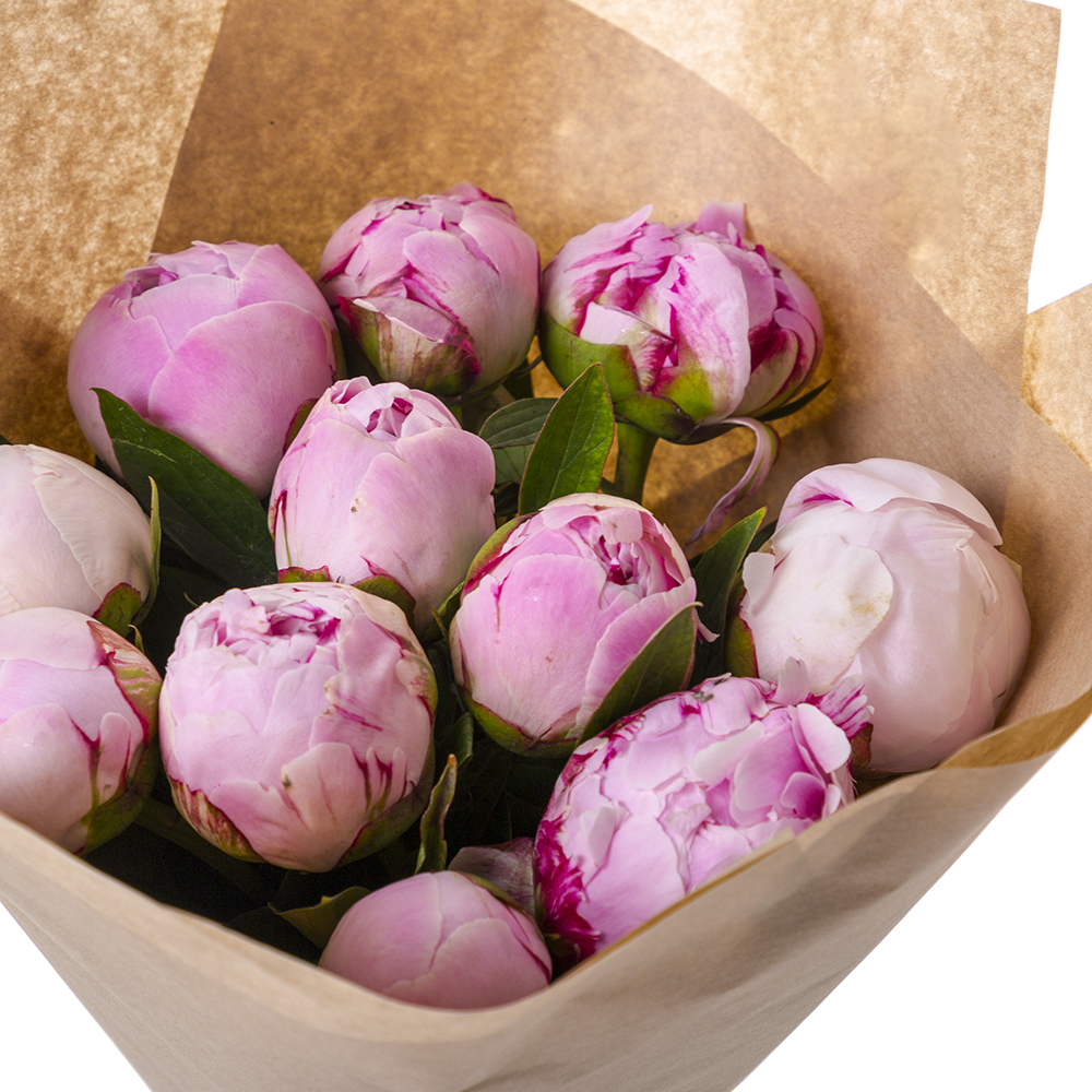 Букет из 11 розовых пионов