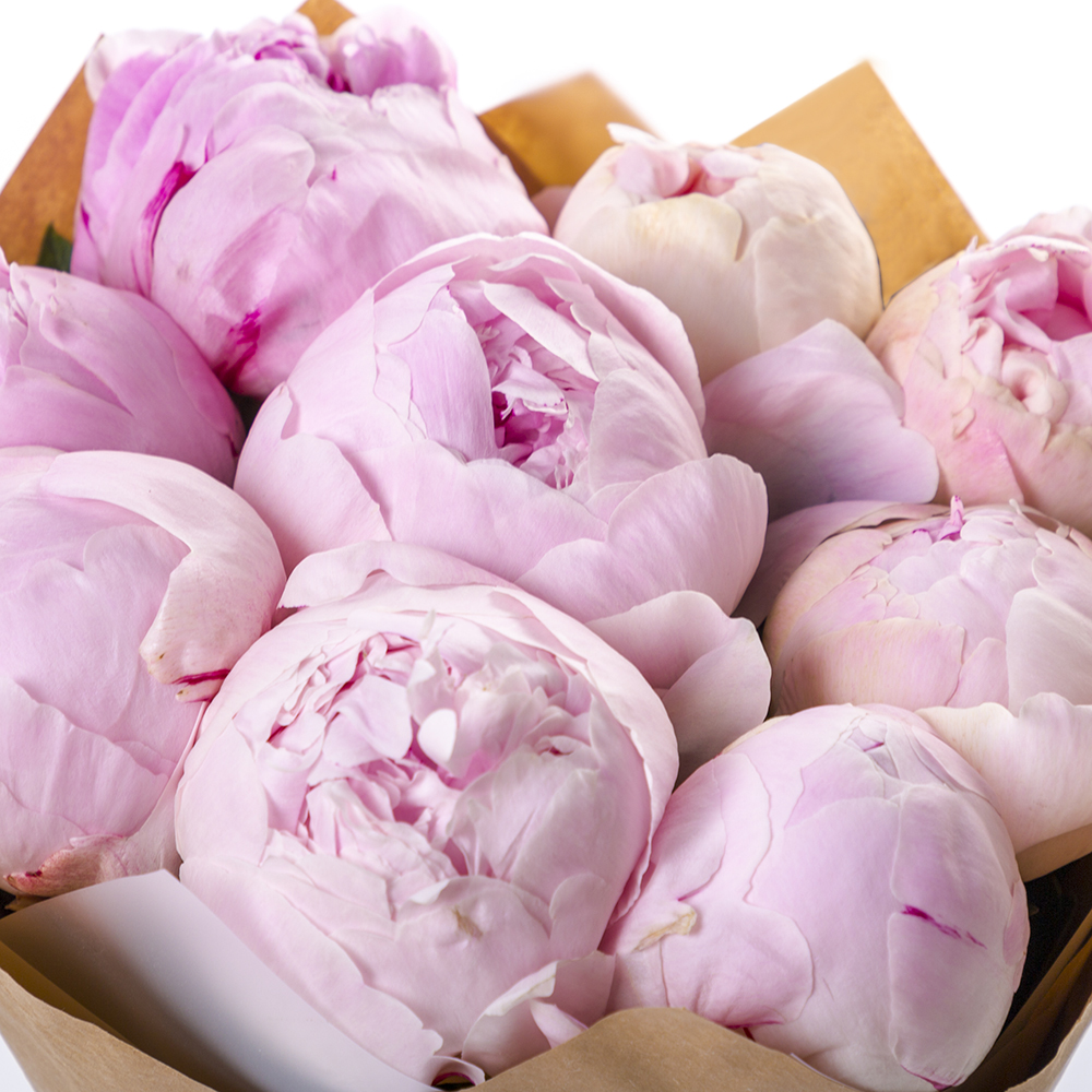 Букет из 9 розовых пионов