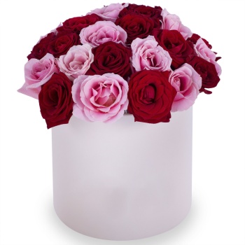 Букет из 35 разноцветных роз premium в кремовой шляпной коробке