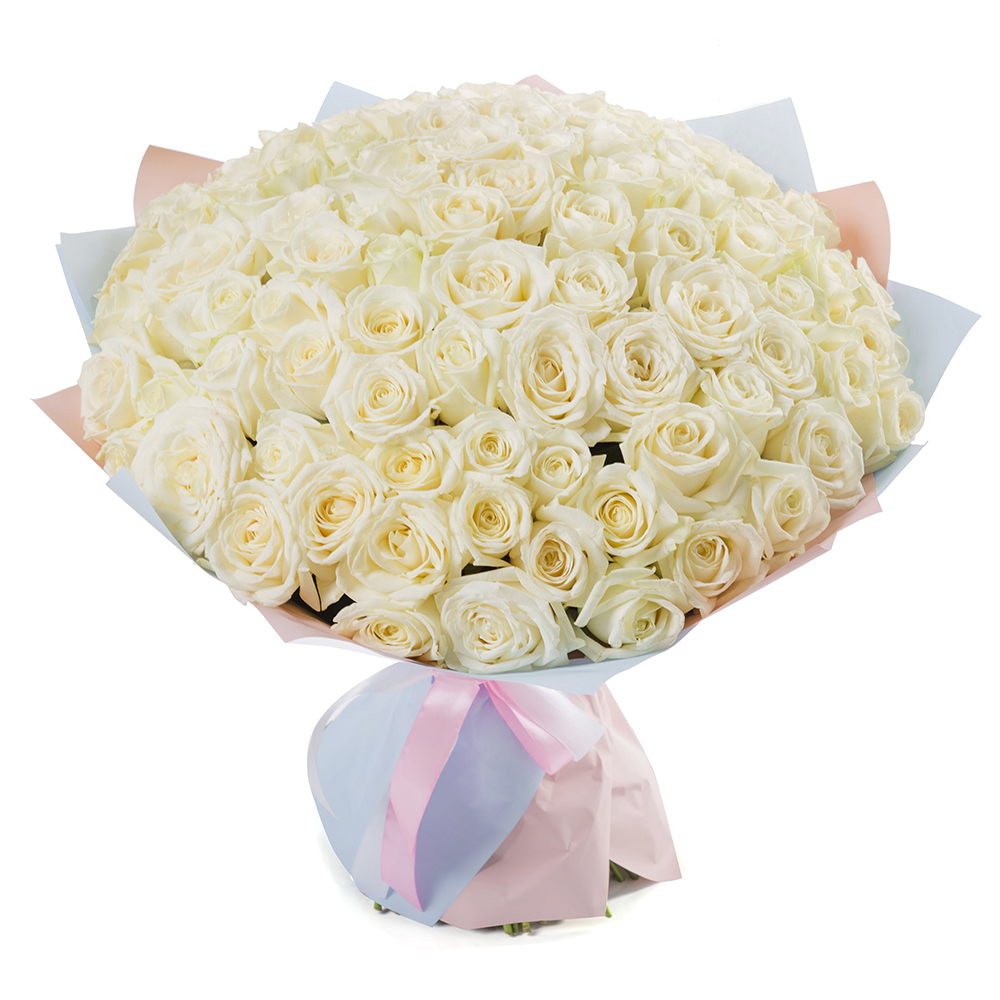 Букет из 101 белой розы 50 см