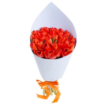 31 оранжевый тюльпан