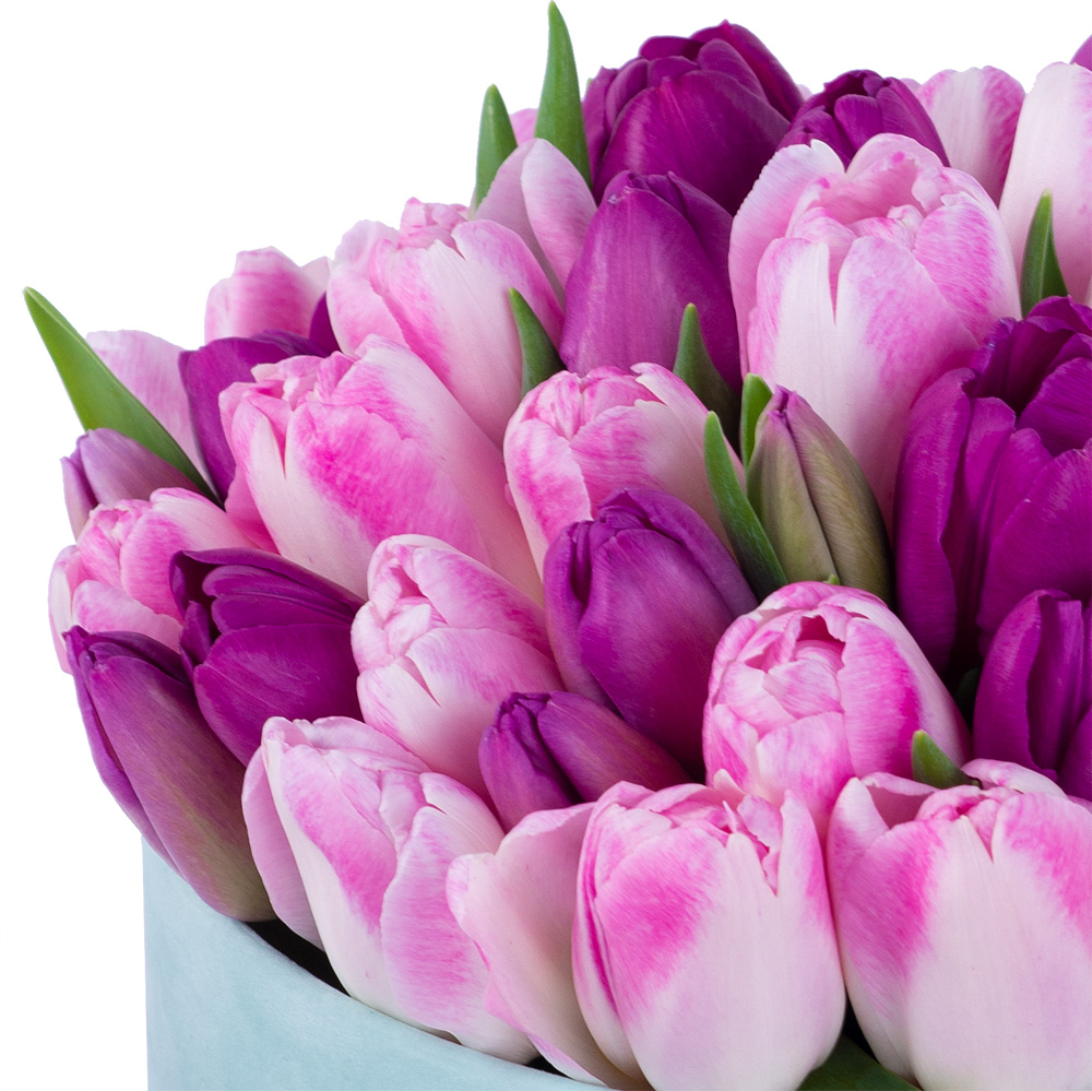 Разноцветный 51 тюльпан в зеленой бархатной шляпной коробке