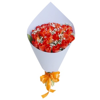 Букет из 25 оранжевых тюльпанов с гипсофилой