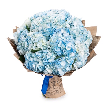 Букет из 15 голубых гортензий в крафте