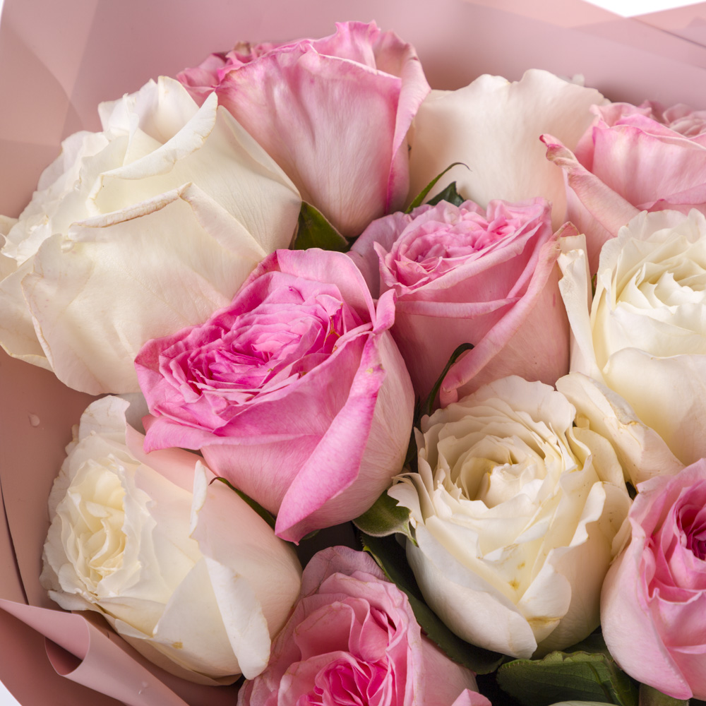 19 разноцветных роз White O'Hara