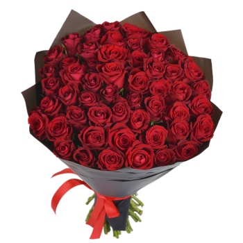 51 красная роза в пленке 40 см.