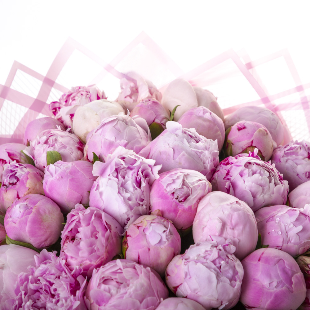 Букет из 35 розовых пионов