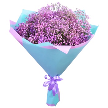 Букет из 15 фиолетовых гипсофил