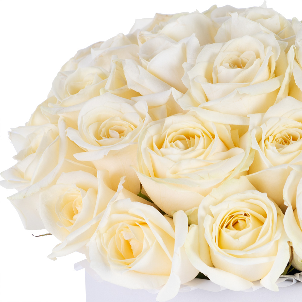 Букет из 35 белых роз premium в белой шляпной коробке
