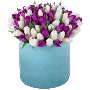 101 разноцветный тюльпан в зеленой бархатной коробке шляпной коробке