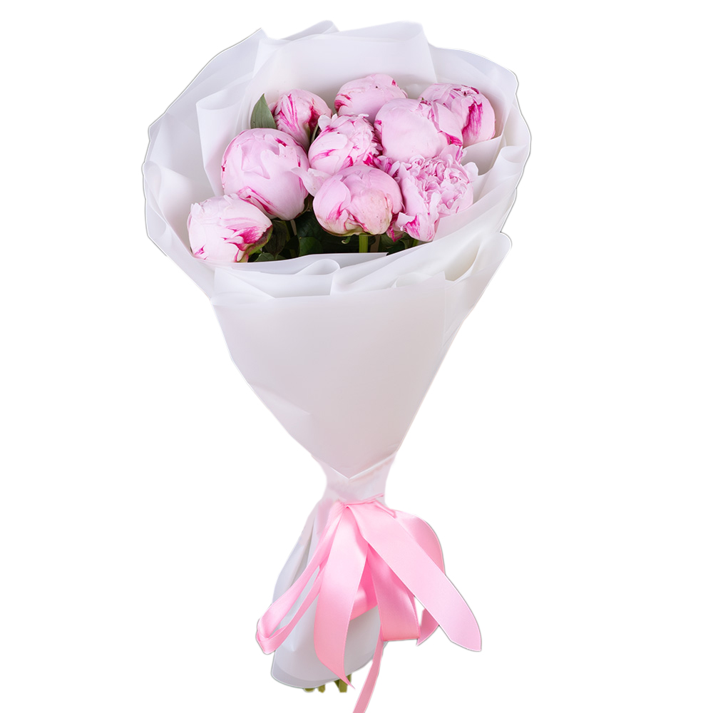 9 розовых пионов
